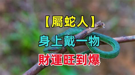 屬蛇配戴|屬蛇之人適合佩戴哪些吉祥物？